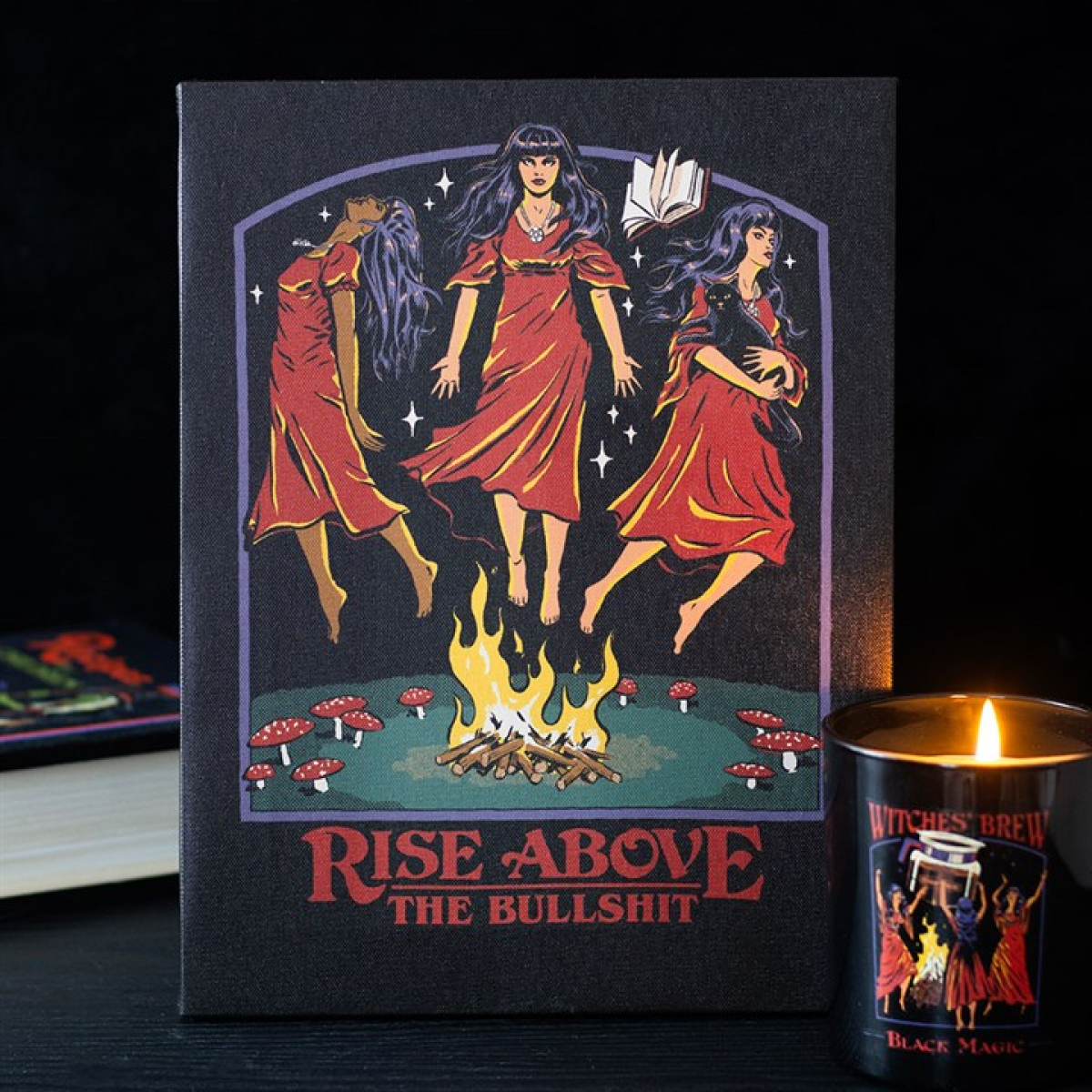 19x25cm Rise Above the Bullshit Canvas Plaque by Steven Rhodes